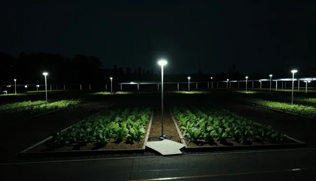 节能改造业务发展趋势:应用场景分析与实践路径